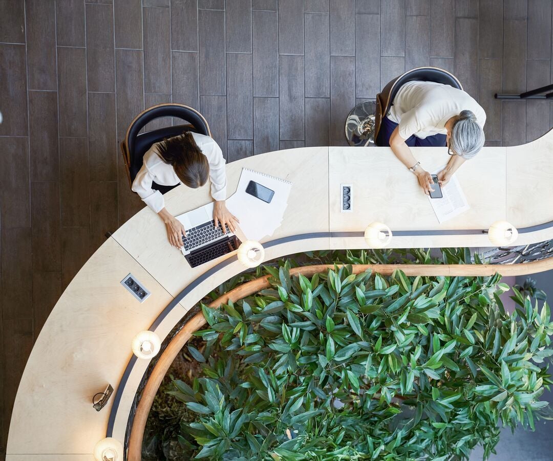 Web_Desktop - Un jeune étudiant et une femme adulte au même bureau