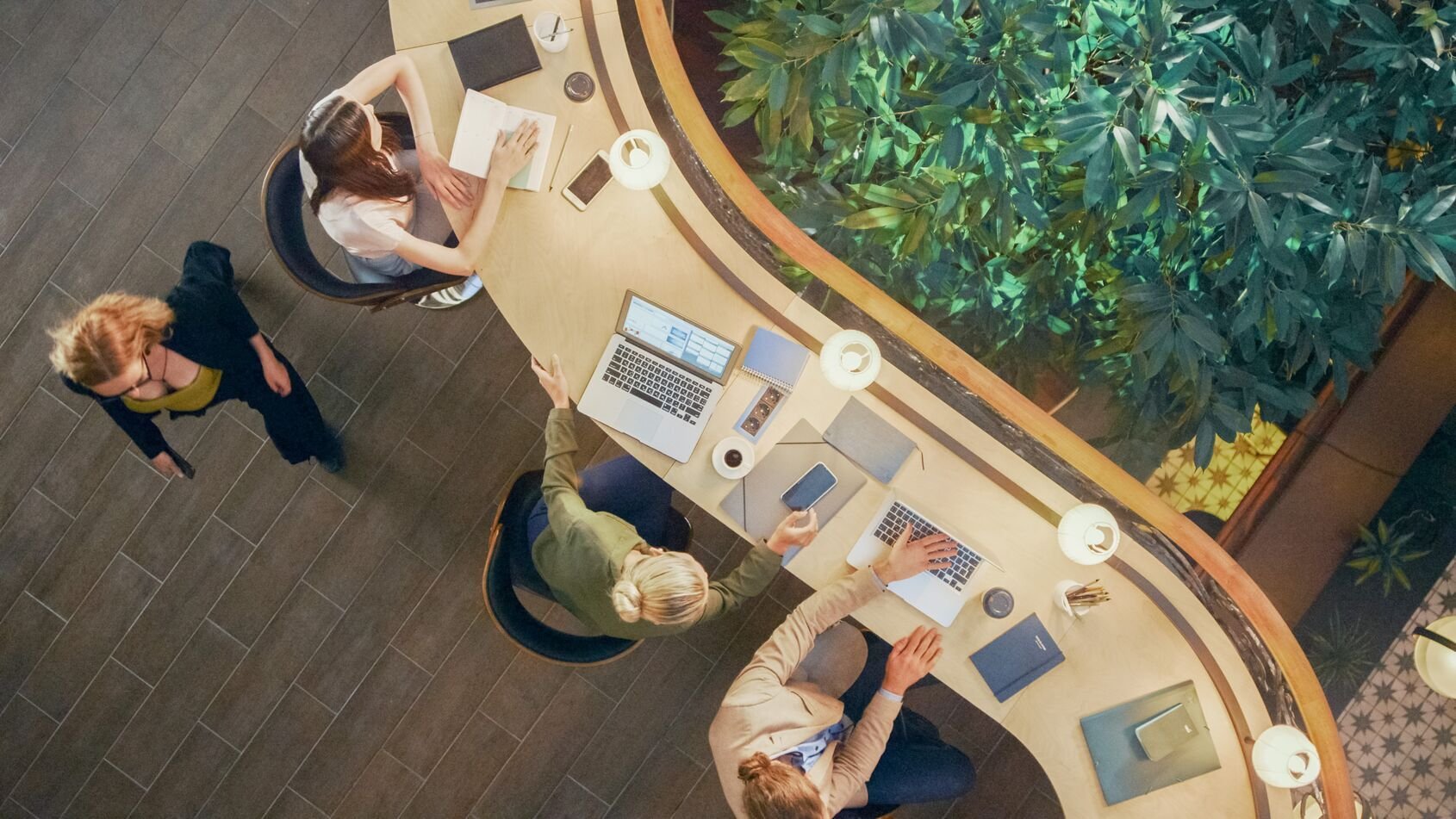 Expérience professionnelle